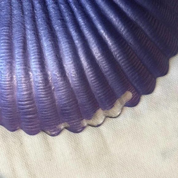 Glass Shell Shape Plates 3 pieces lot - Picture 5 of 5